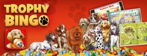 Trophy-Bingo-RHi-Banner_Slider1
