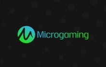 Microgaming Casinos that Accept Neteller