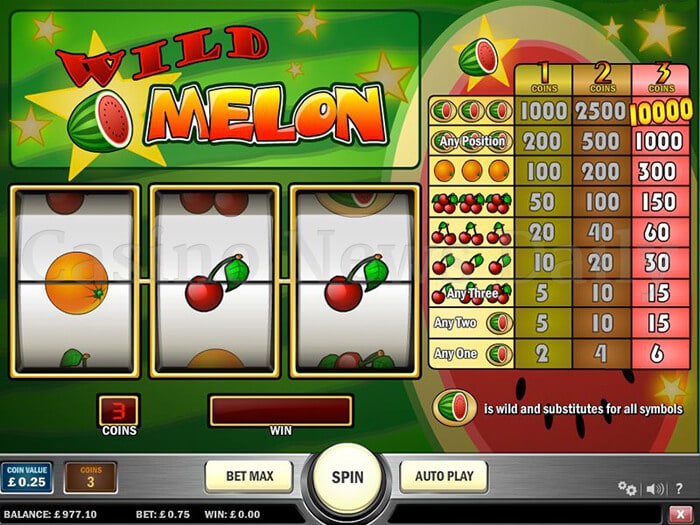 6-Wild Melon Slot