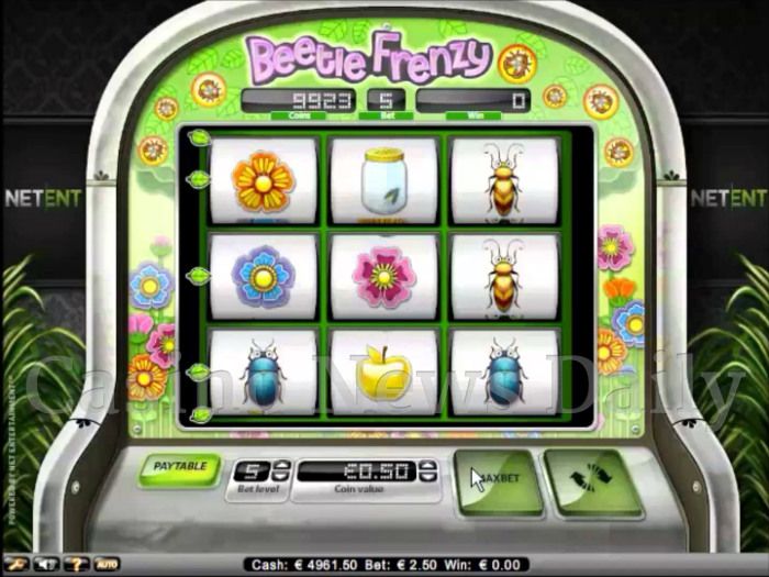 Beetle Frenzy Online Slot