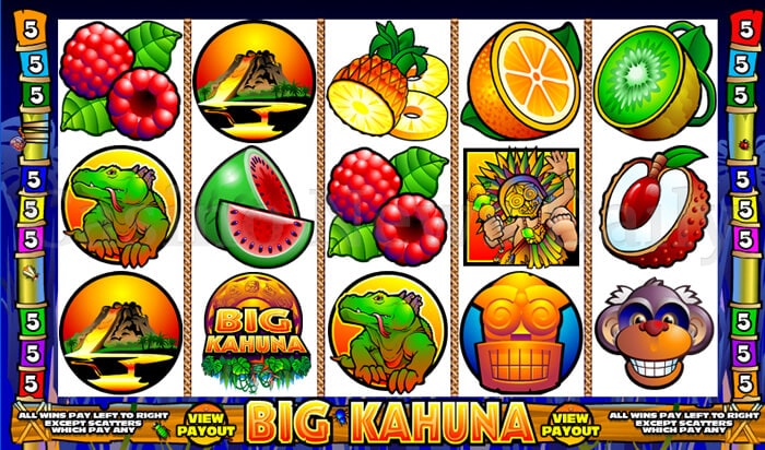 Big Kahuna Online Slot microgaming
