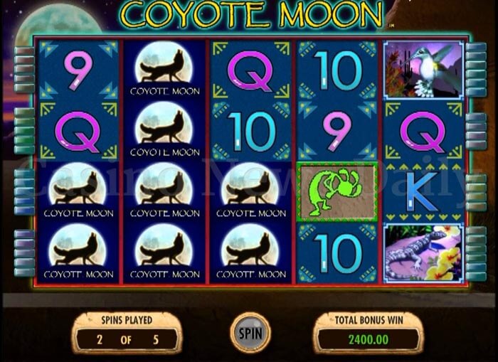 Coyote Moon Online Slot igt