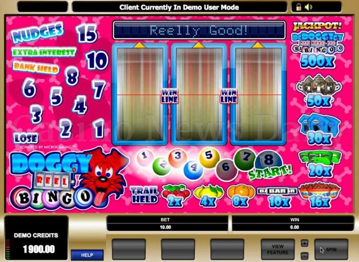 Doggy Reel Bingo Slot microgaming