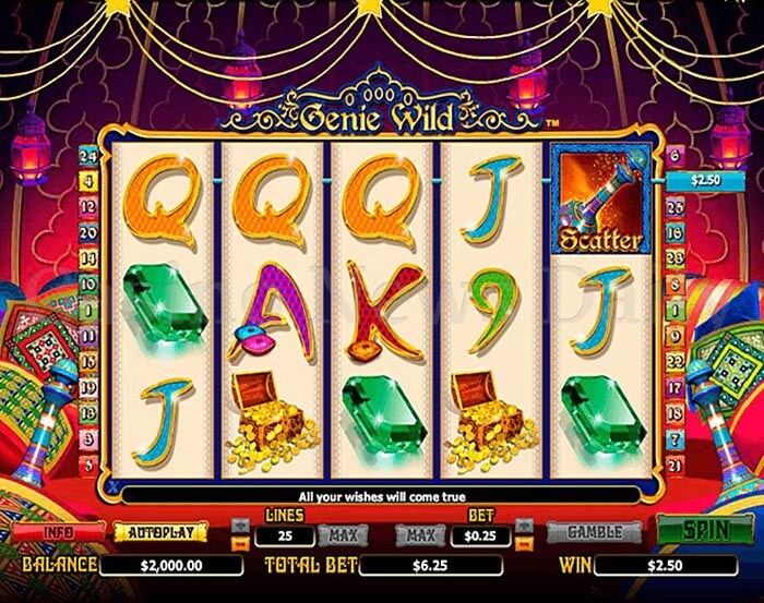 Genie Wild Slot microgaming
