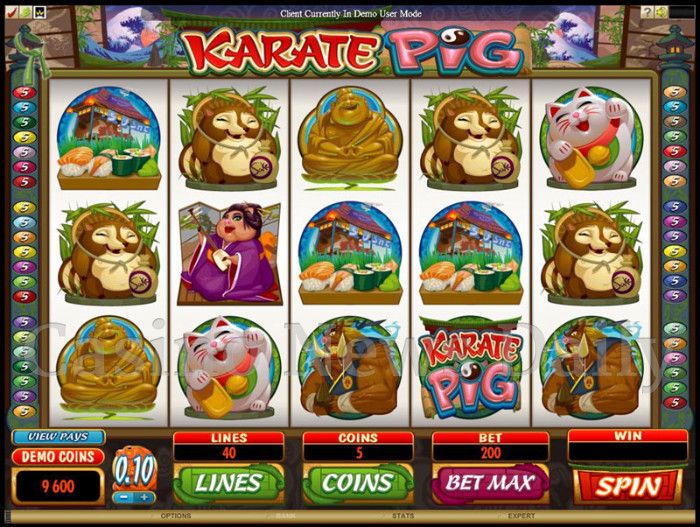 Karate Pig Online Slot