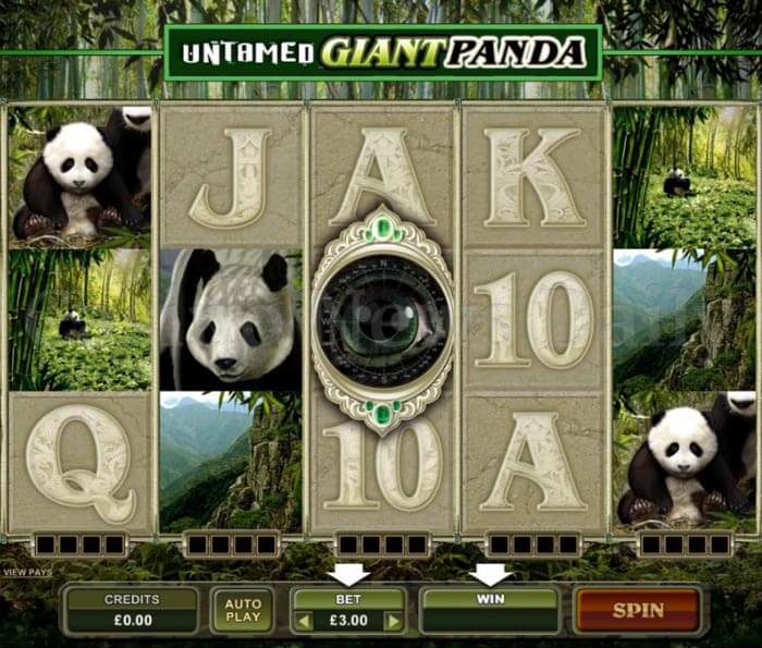 Jogos caca-niqueis de cassino gratis Pharaohs Dream Jogos caca-niqueis de cassino gratis Pharaohs Dream
