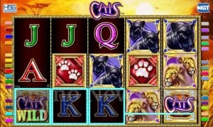 Cats Online Slot