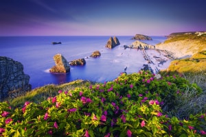 Spanish Gambling Regulator Releases Information about Shared Online Poker Liquidity Project