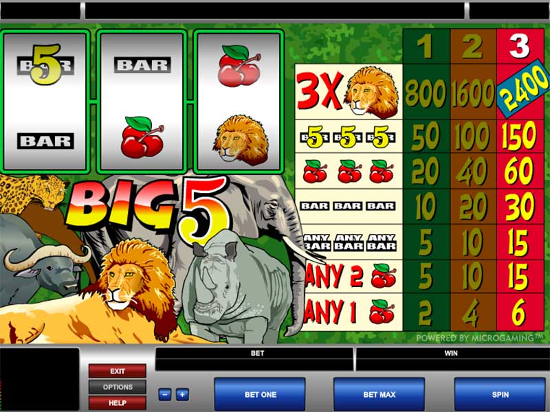 Big 5 Jungle Jackpot Slot