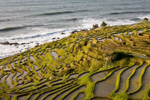 Japan’s Government May Resume Casino Talks before the End of 2017