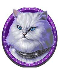 pretty kitty slot