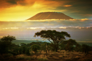 High Court Judge Supports Kenya’s New Gambling Tax