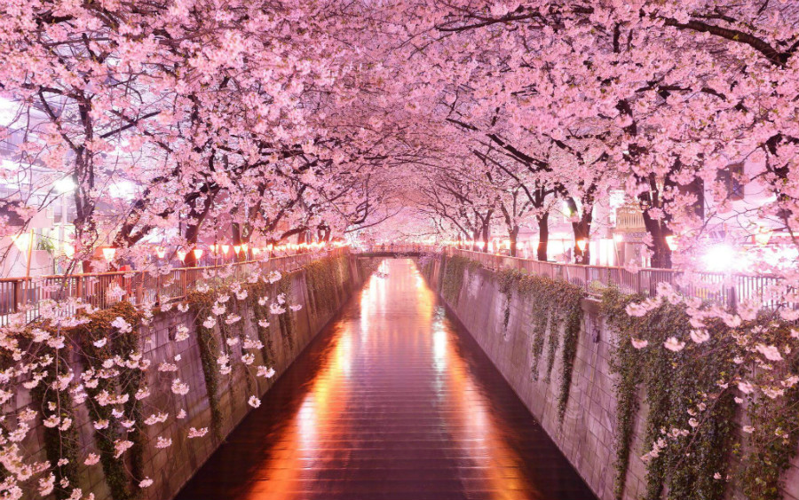 Japan’s IR/Casino Bill Now Debated in Diet’s Upper House