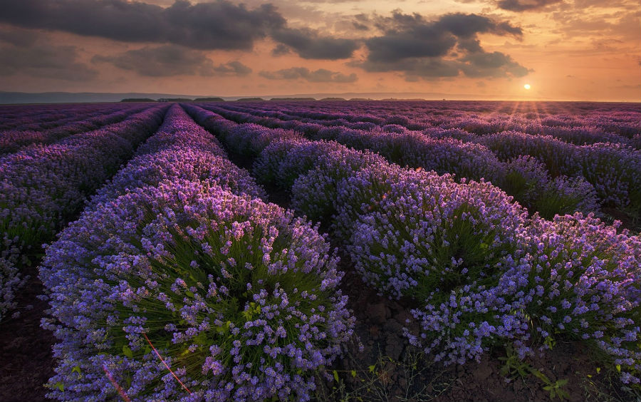 Bulgaria’s Gambling Market Worth Nearly $2 Billion in 2017