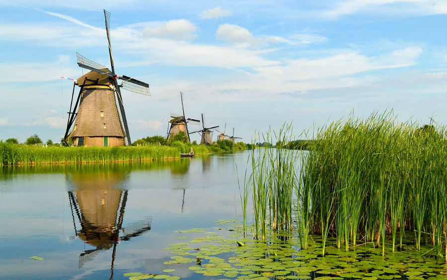 Gambling Operators Currently Targeting Dutch Players Could Still Be Eligible for Licenses