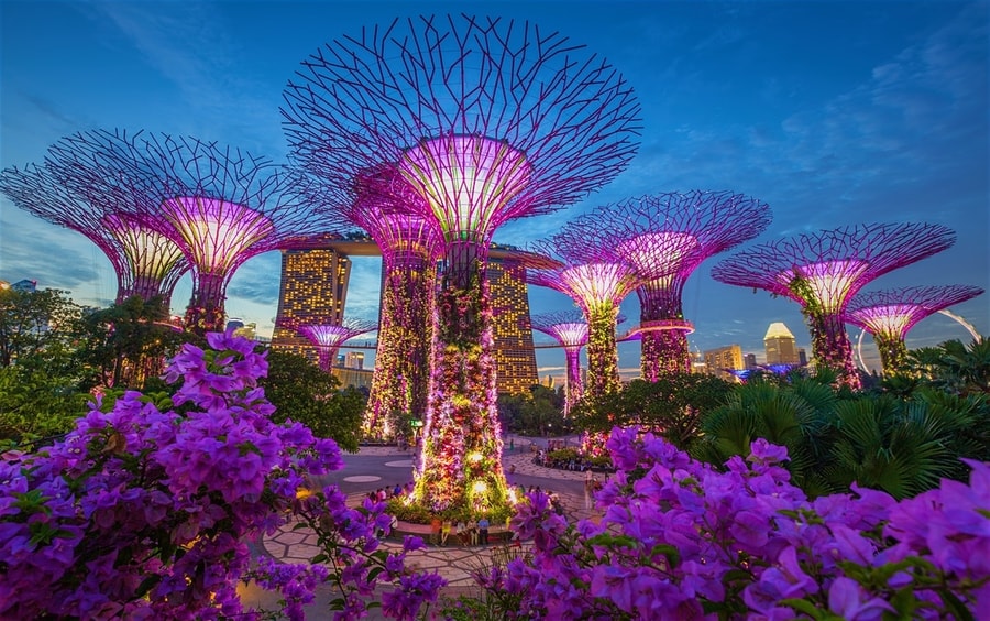 Singapore Needs Greater Consolidation of Casino Regulators, Says Josephine Teo