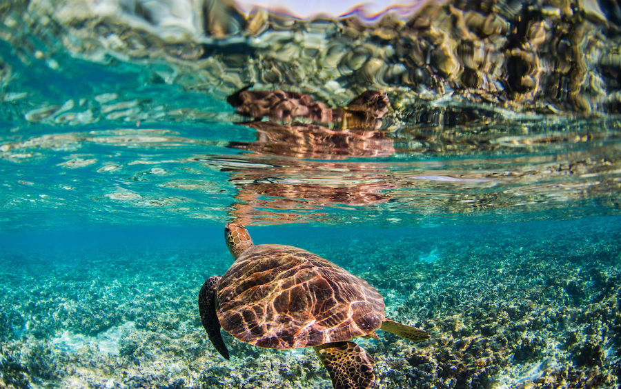 Queensland Tourism Officials to Meet with Casino Companies as Part of State Tourism Growth Strategy