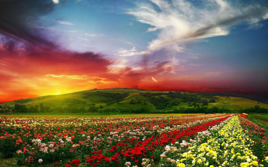 Bill Restricting Gambling Advertising Stalls in Bulgarian National Assembly, Needs EC Green Light