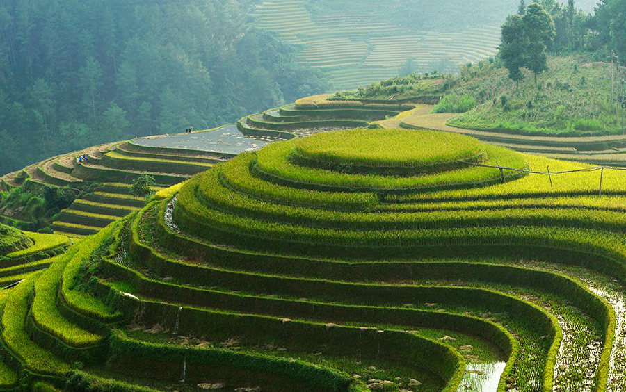 Vietnamese Police Bust Illegal Gambling Ring as World Cup Is In Full Swing