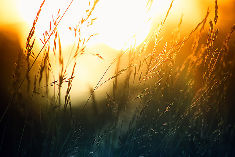 Poker Tournaments Starting August 13-19