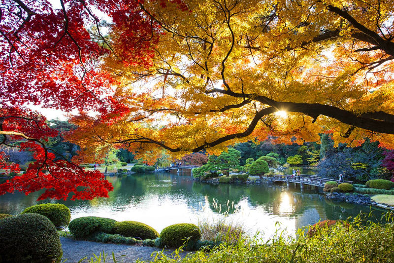 Poker Tournaments Starting September 24-30