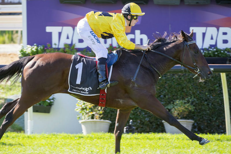Tabcorp Emerges as Likely Buyer of West Australia’s TAB Betting Agency