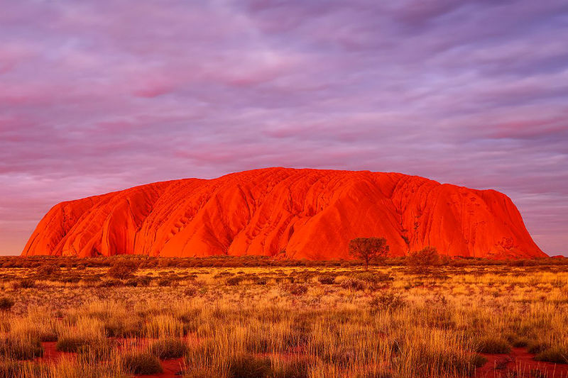 Delayed Action in Queensland Sets Back Launch of Australia’s Nationwide Gambling Self-Exclusion Scheme