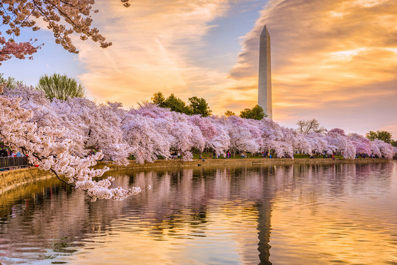 D.C. Sports Betting One Step Closer to Becoming Reality
