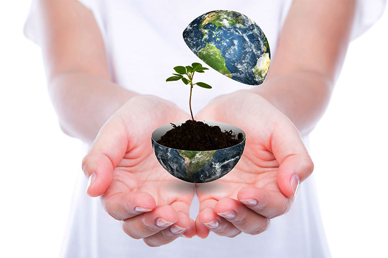 Hard Rock among Shortlisted Bidders for Cairns Casino License