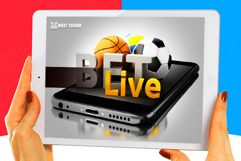 Slots Supplier Red Tiger Gears Up for Switzerland Expansion