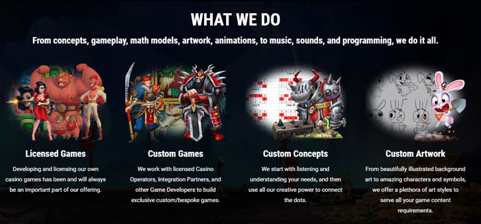 About This Company