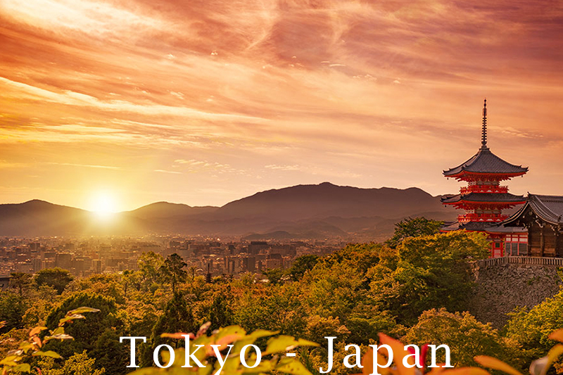 Las Vegas Sands Aggressively Pursuing Japan Expansion, Says CEO Sheldon Adelson