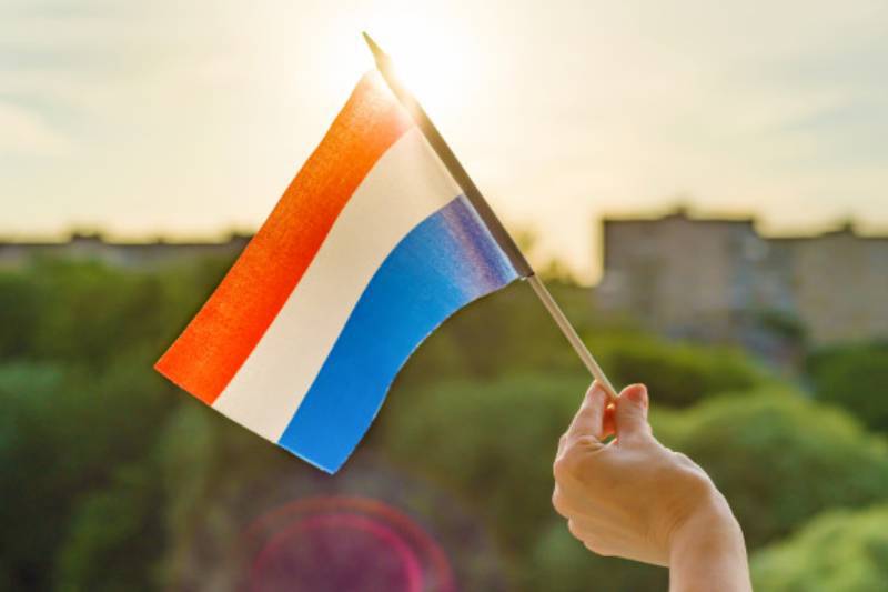 Royal Panda, LeoVegas Get Hefty Fines by Dutch Gambling Watchdog