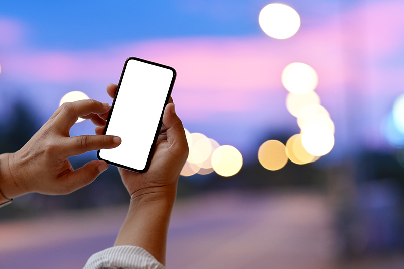 Despite Rocky Start, Oregon Betting App Proves Popular with State Bettors