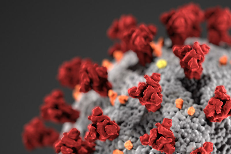 ‘Corona-free’ Online Casinos Land in Trouble with Dutch Regulator