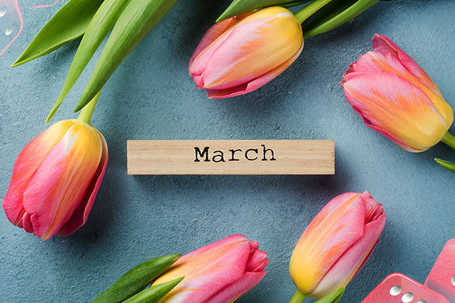 Michigan Ready to Join Sports Betting Frenzy in Time for March Madness