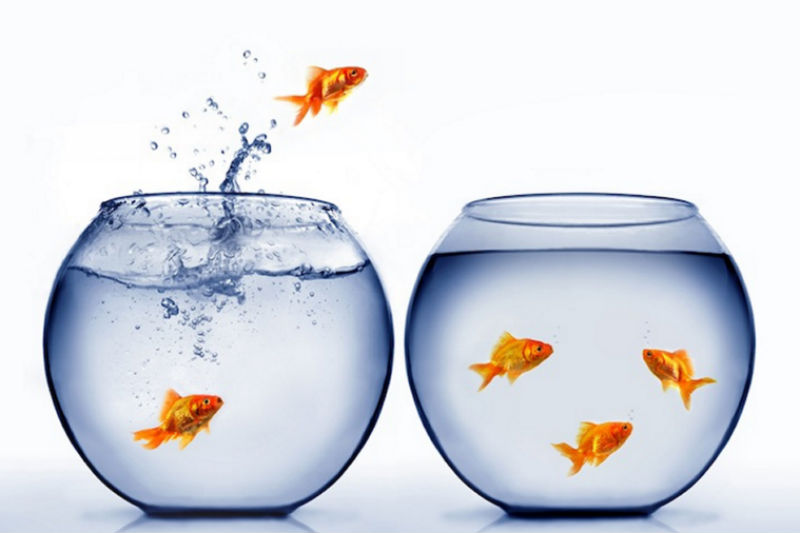 Enlabs Announces Migration to Playtech’s iPoker