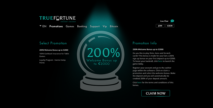 True Fortune Casino Promotional Banner