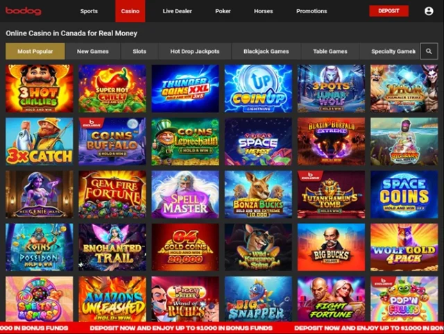 Bodog Casino 20.10.2025. Lobby 