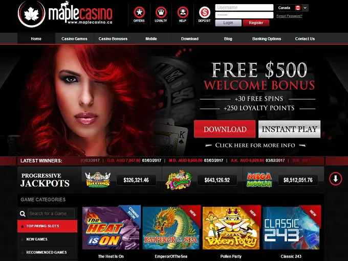 MapleCasino1 Desktop: The Go-To Online Casino for Canadian Players