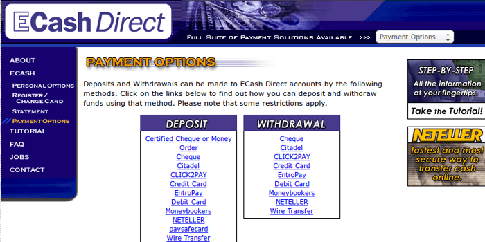 ECash Direct Payment Options Page Screenshot of ECash Direct Payment Options Page