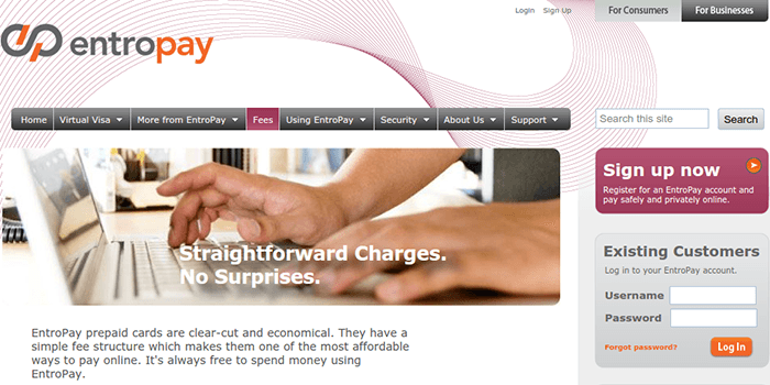 Screenshot of EntroPay Fees and Taxes Page