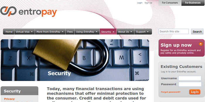 Screenshot of EntroPay Security Page