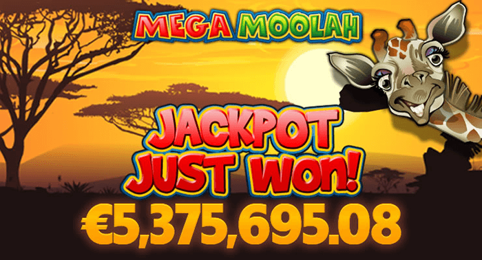 Mega Moolah Progressive Jackpot Win